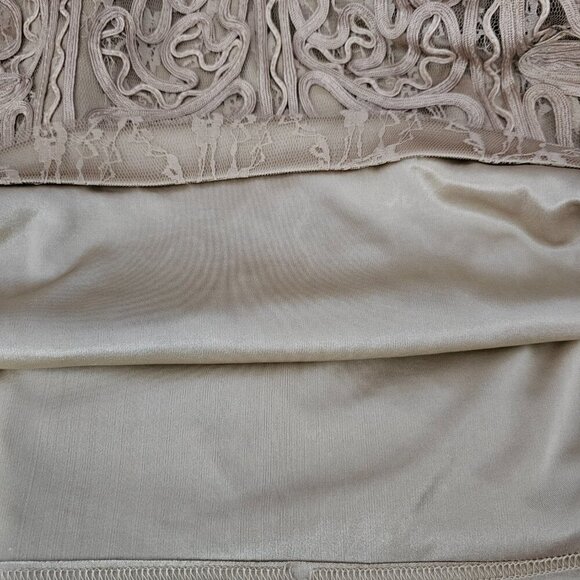 Sue Wong New Lace V Neck Three Quarter Sleeve Lined Beige Cocktail Sheath Dress - Picture 13 of 15